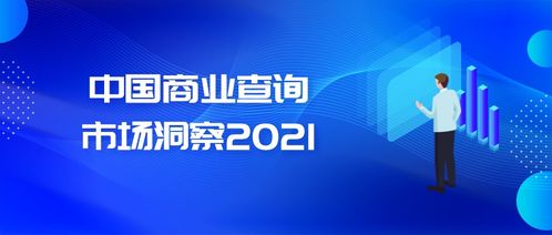 商業查詢 社會信用體系的基石與中國市場發展新機遇